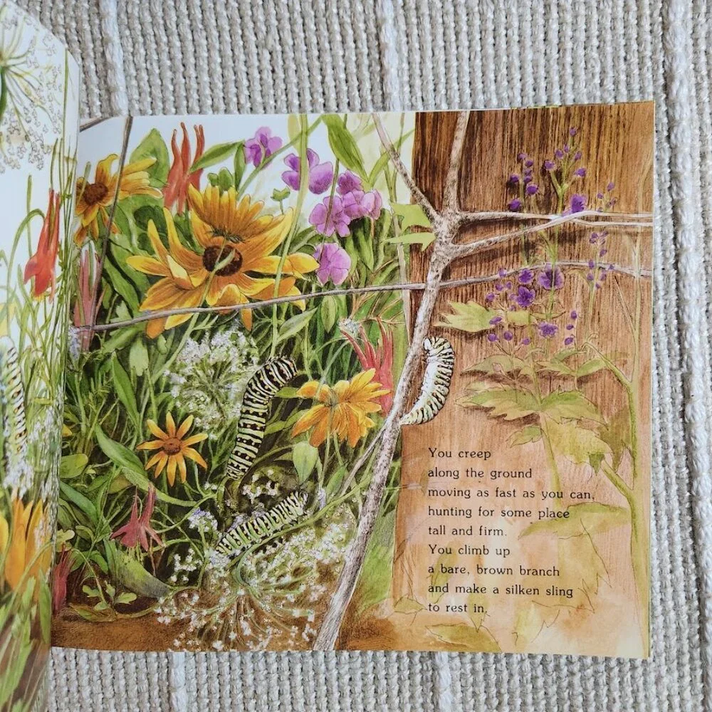 Where Butterflies Grow Paperback Book Vintage 1996 Nature Butterfly Life Cycle